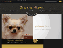 Tablet Screenshot of chihuahuas-love.com